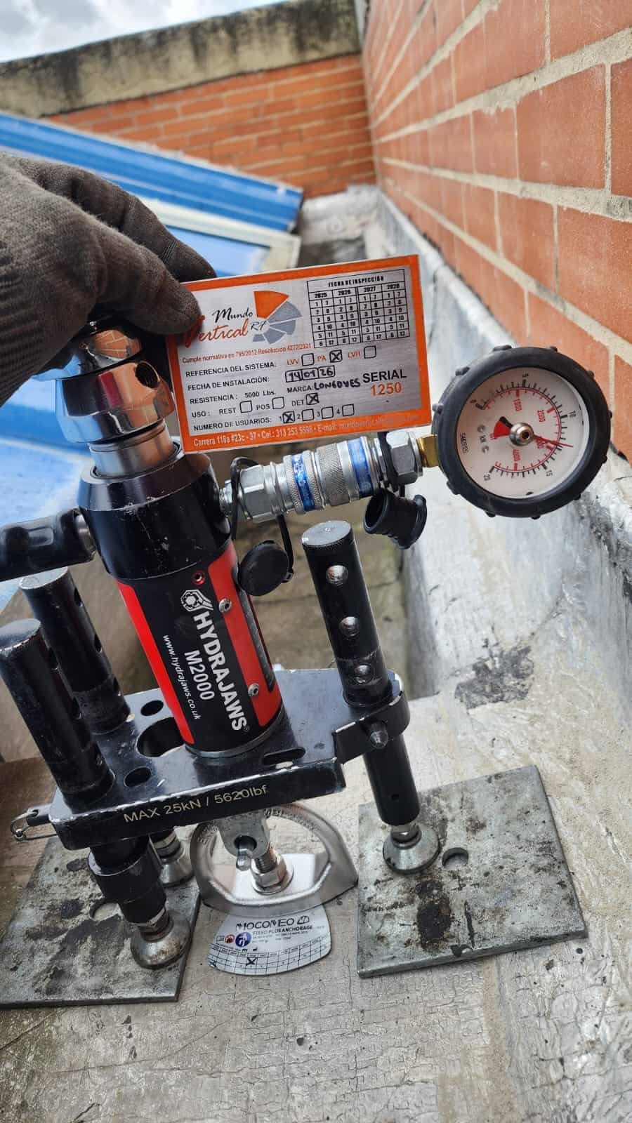 WhatsApp Image 2026-02-16 at 16.21.04