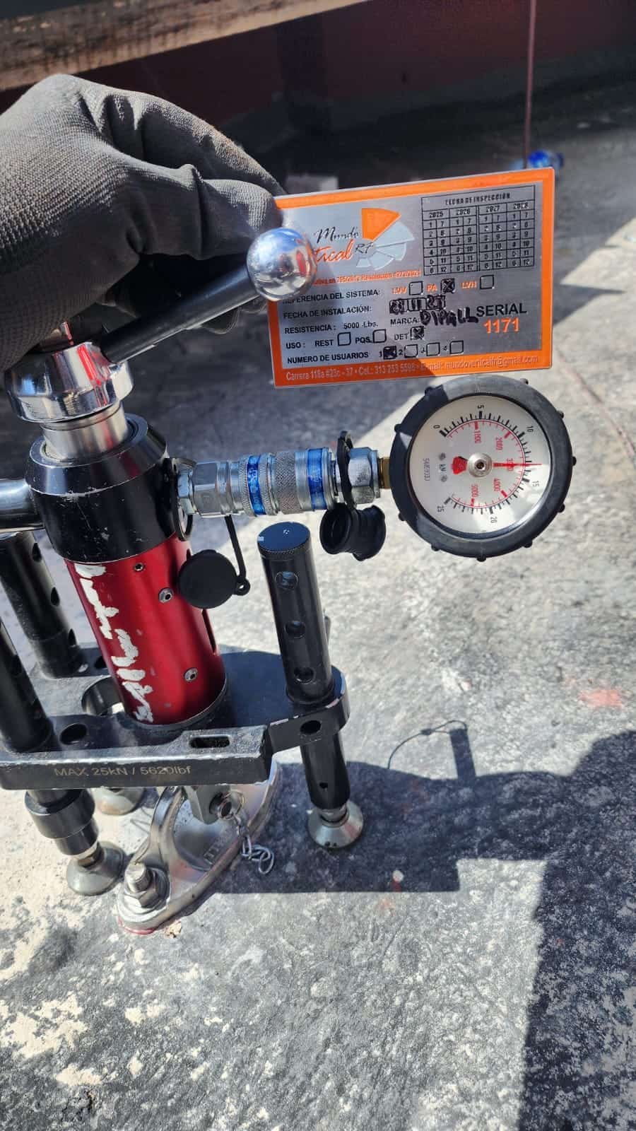 WhatsApp Image 2026-02-16 at 16.22.51