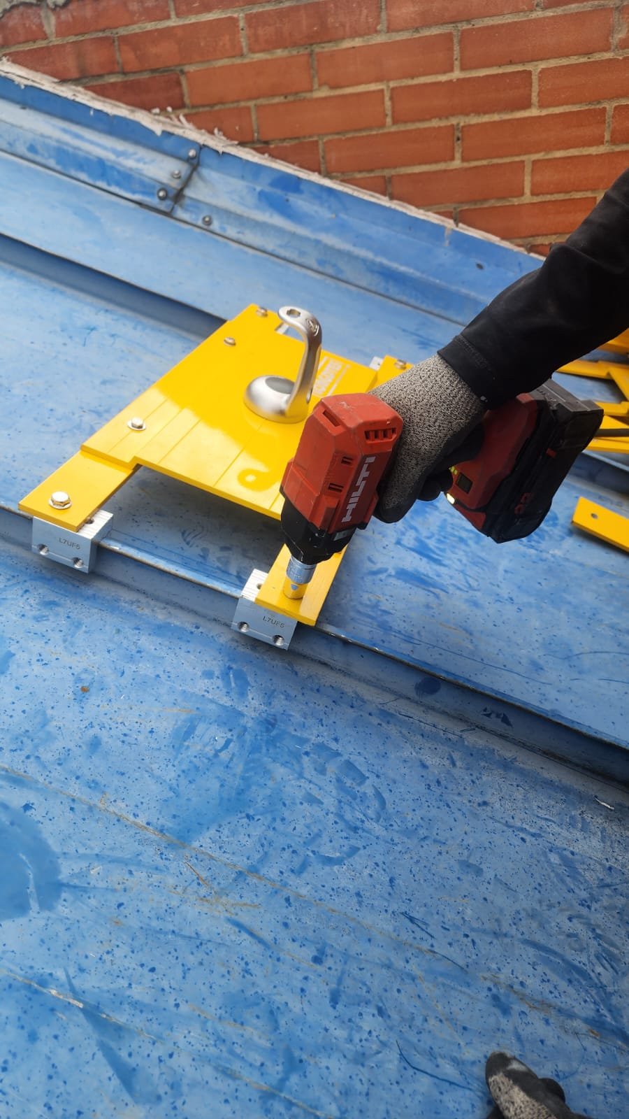 WhatsApp Image 2026-02-17 at 08.01.51 (1)